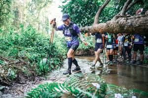 BIB: 
                            <button type="button" onclick="openModal(25475588)" class="btn btn-primary btn-sm float-right btn-popup" data-toggle="modal" data-target=".modal-high-quality">
                        <i class="fas fa-shopping-cart"></i> Add to Cart
                    </button>
                                            <button type="button" onclick="isThisMe(25475588, true)" class="btn btn-success btn-sm float-right btn-popup btn-isme hidden" data-toggle="tooltip" data-placement="bottom" title="นี่คือรูปของคุณใช่ไหม คลิกที่นี่เพื่อเอาเข้าอัลบั้ม">
                        <i class="fas fa-plus"></i> Add to album
                    </button>
                    <button type="button" onclick="isThisMe(25475588, false)" class="btn btn-warning btn-sm float-right btn-popup btn-isnotme hidden">
                        <i class="fas fa-ban"></i> Remove from album
                    </button>